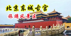 大鸡巴插得好爽视频中国北京-东城古宫旅游风景区